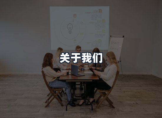 关于我们