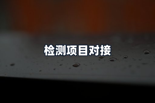 检测项目对接